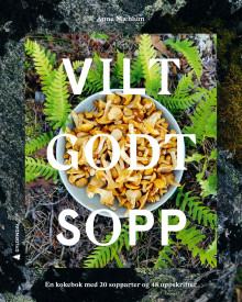 Vilt godt sopp av Anne Mæhlum (Innbundet)