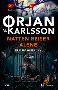 Natten reiser alene av Ørjan N. Karlsson (Innbundet)
