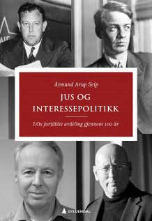 Jus og interessepolitikk av Åsmund Arup Seip (Heftet)
