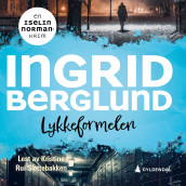 Lykkeformelen av Ingrid Berglund (Nedlastbar lydbok)