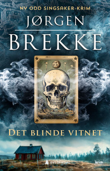 Det blinde vitnet av Jørgen Brekke (Ebok)