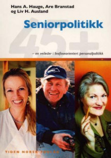 Seniorpolitikk av Hans A. Hauge, Are Branstad og Liv H. Ausland (Heftet)