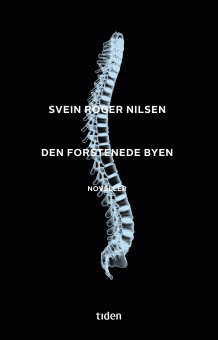 Den forstenede byen av Svein Roger Nilsen (Innbundet)