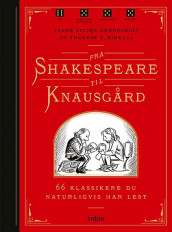 Fra Shakespeare til Knausgård av Janne Stigen Drangsholt (Ebok)