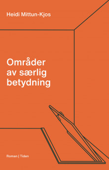 Områder av særlig betydning av Heidi Mittun-Kjos (Ebok)