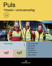 Puls Yrkesliv i ambulansefag av Jan Barstein, Eirik Illguth, Bernt Kristiansen, Ingvar Skjerve, Kjetil Torgeirsen og Olav Johan Østebø (Heftet)