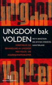 Ungdom bak volden av Mette Bengtson, Per Øystein Steinsvåg og Hans Terland (Heftet)