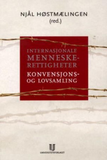 Internasjonale menneskerettigheter av Njål Høstmælingen (Innbundet)