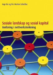 Sosiale landskap og sosial kapital av Inge Bø og Per Morten Schiefloe (Heftet)