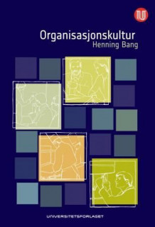 Organisasjonskultur av Henning Bang (Heftet)