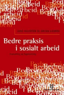 Bedre praksis i sosialt arbeid av Anne Halvorsen og Jorunn Gjedrem (Heftet)