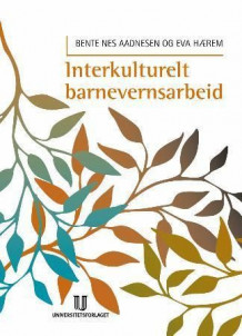 Interkulturelt barnevernsarbeid av Bente Nes Aadnesen og Eva Hærem (Heftet)