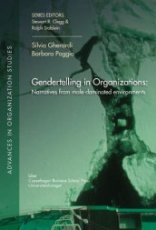 Gendertelling in organizations av Silvia Gherardi og Barbara Poggio (Heftet)