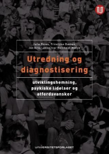 Utredning og diagnostisering av Jarle Eknes, Trine Lise Bakken, Jon Arne Løkke og Ivar Mæhle (Heftet)