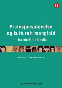 Profesjonsutøvelse og kulturelt mangfold av Ann Merete Otterstad (Heftet)
