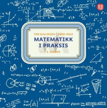 Matematikk i praksis av Tor Gulliksen og Arne Hole (Heftet)