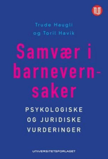 Samvær i barnevernsaker av Trude Haugli og Toril Havik (Heftet)