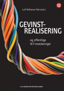 Gevinstrealisering og offentlige IKT-investeringer av Leif Skiftenes Flak (Heftet)