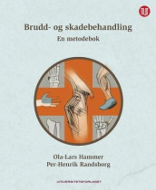 Brudd- og skadebehandling av Ola-Lars Hammer og Per-Henrik Randsborg (Heftet)