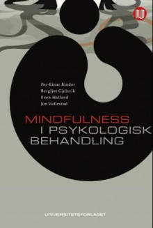 Mindfulness i psykologisk behandling av Per-Einar Binder, Bergljot Gjelsvik, Even Halland og Jon Vøllestad (Heftet)