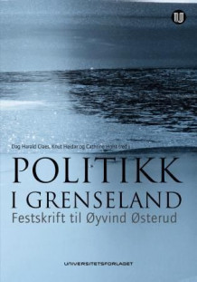Politikk i grenseland av Dag Harald Claes, Knut Heidar og Cathrine Holst (Innbundet)