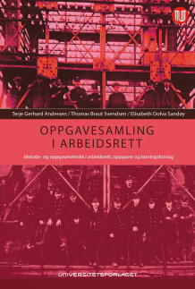 Oppgaver i arbeidslivets spilleregler av Terje Gerhard Andersen, Elisabeth Dolva Sandøy og Thomas B. Svendsen (Heftet)