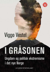 I gråsonen av Viggo Vestel (Heftet)