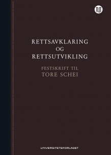 Rettsavklaring og rettsutvikling av Magnus Matningsdal, Jens Edvin A. Skoghøy og Toril M. Øie (Innbundet)