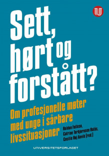 Sett, hørt og forstått? av Reidun Follesø, Catrine Torbjørnsen Halås og Cecilie Høj Anvik (Heftet)