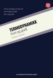 Termodynamikk av Norbert Lümmen (Heftet)