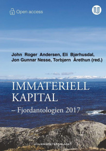 Immateriell kapital av John Roger Andersen, Eli Bjørhusdal, Jon Gunnar Nesse og Torbjørn Årethun (Heftet)