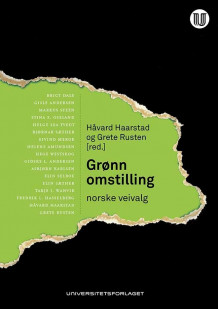 Grønn omstilling av Håvard Haarstad og Grete Rusten (Heftet)