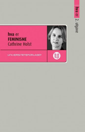 Hva er feminisme av Cathrine Holst (Heftet)