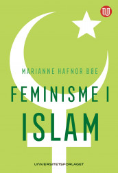 Feminisme i islam av Marianne Hafnor Bøe (Heftet)