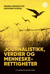 Journalistikk, verdier og menneskerettigheter av Magne Lindholm og Audgunn Oltedal (Ebok)