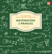 Matematikk i praksis av Tor H. Gulliksen, Amir M. Hashemi og Arne Hole (Ebok)