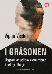 I gråsonen av Viggo Vestel (Ebok)