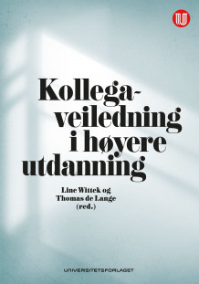 Kollegaveiledning i høyere utdanning av Anne Line Wittek og Thomas de Lange (Heftet)