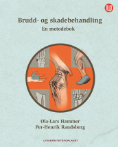 Brudd- og skadebehandling av Ola-Lars Hammer og Per-Henrik Randsborg (Ebok)