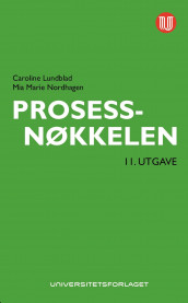 Prosessnøkkelen av Caroline Lundblad og Mia Marie Nordhagen (Ebok)