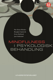 Mindfulness i psykologisk behandling av Per-Einar Binder, Bergljot Gjelsvik, Even Halland og Jon Vøllestad (Ebok)