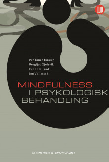 Mindfulness i psykologisk behandling av Per-Einar Binder, Bergljot Gjelsvik, Even Halland og Jon Vøllestad (Ebok)