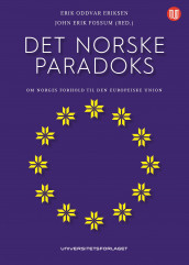 Det norske paradoks (Ebok)