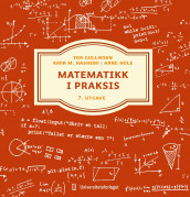 Matematikk i praksis av Tor H. Gulliksen, Amir M. Hashemi og Arne Hole (Ebok)