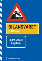 Bilansvaret av Bjørn Edvard Engstrøm (Ebok)