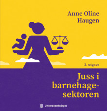 Juss i barnehagesektoren av Anne Oline Haugen (Heftet)