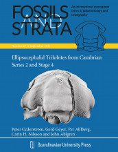 Ellipsocephalid trilobites from Cambrian Series 2 and Stage 4, with emphasis on the taxonomy, morphological plasticity and biostratigraphic significance of ellipsocephalids from Scania, Sweden av Per Ahlberg, John Ahlgren, Peter Cederström, Gerd Geyer og Carin H. Nilsson (Heftet)
