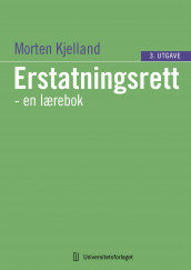 Erstatningsrett av Morten Kjelland (Ebok)