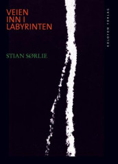 Veien inn i labyrinten av Stian Sørlie (Heftet)