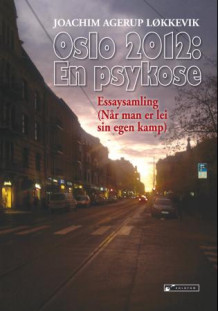 Oslo 2012: en psykose av Joachim Agerup Løkkevik (Heftet)